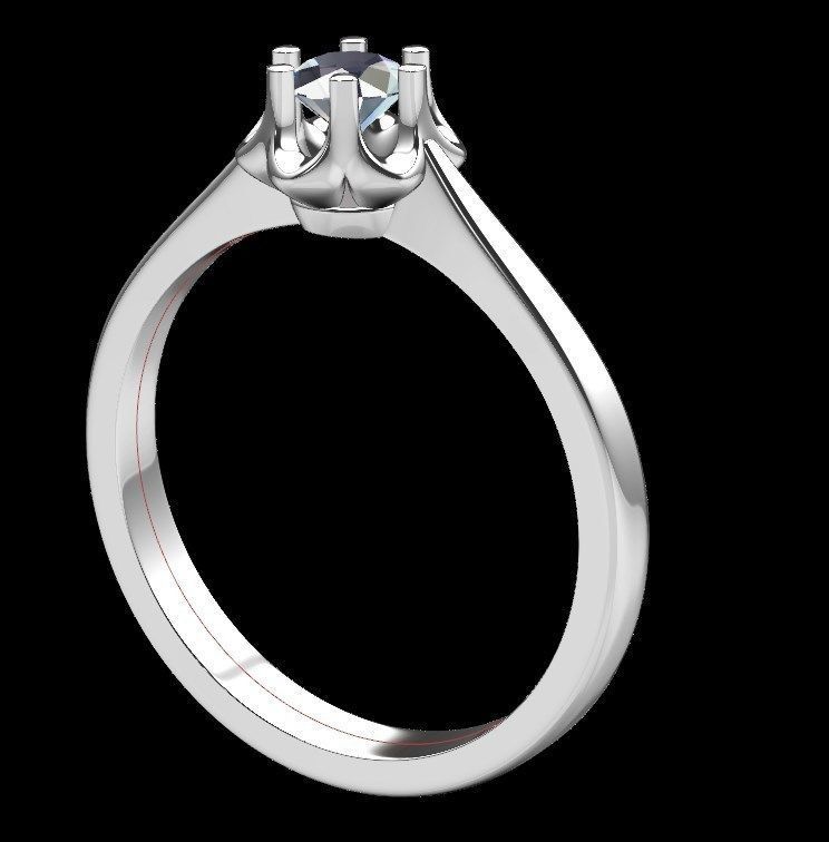 Ring iz30 3D print model_18