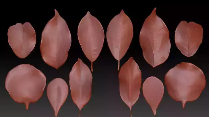 Original 6 realistic leaves ZB brush download 3D printing leaves 3D print model