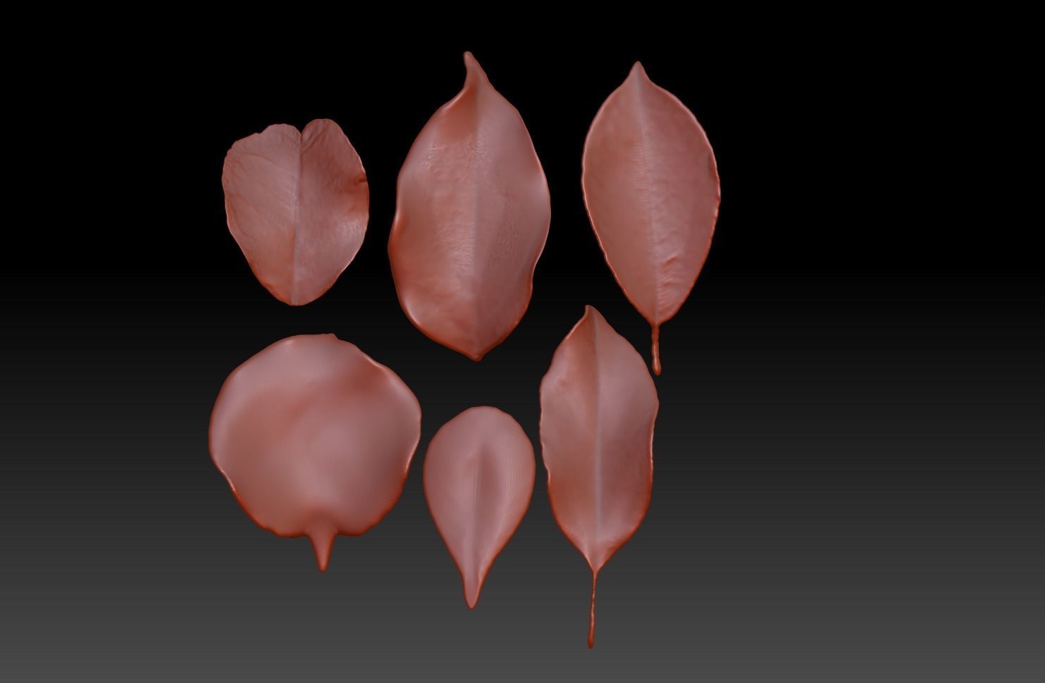 Original 6 realistic leaves ZB brush download 3D printing leaves 3D print model_1