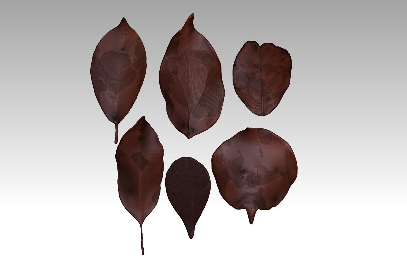 Original 6 realistic leaves ZB brush download 3D printing leaves 3D print model_2