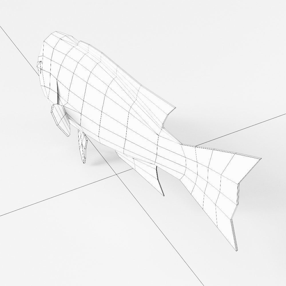 California sheep head fish 3d model  Low-poly 3D model_6