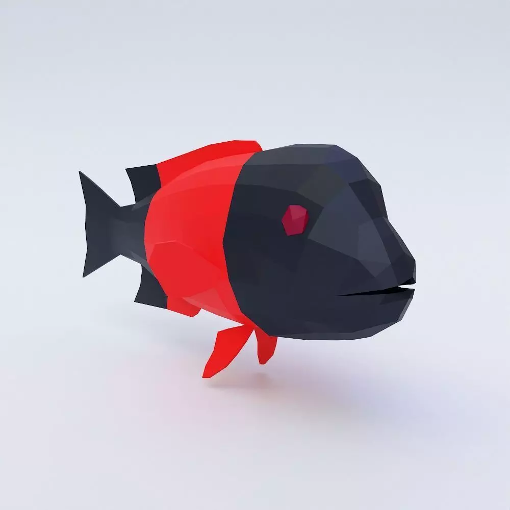 California sheep head fish 3d model  Low-poly 3D model_0