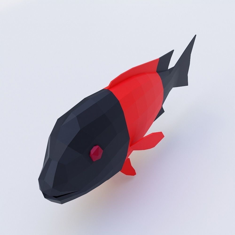 California sheep head fish 3d model  Low-poly 3D model_1