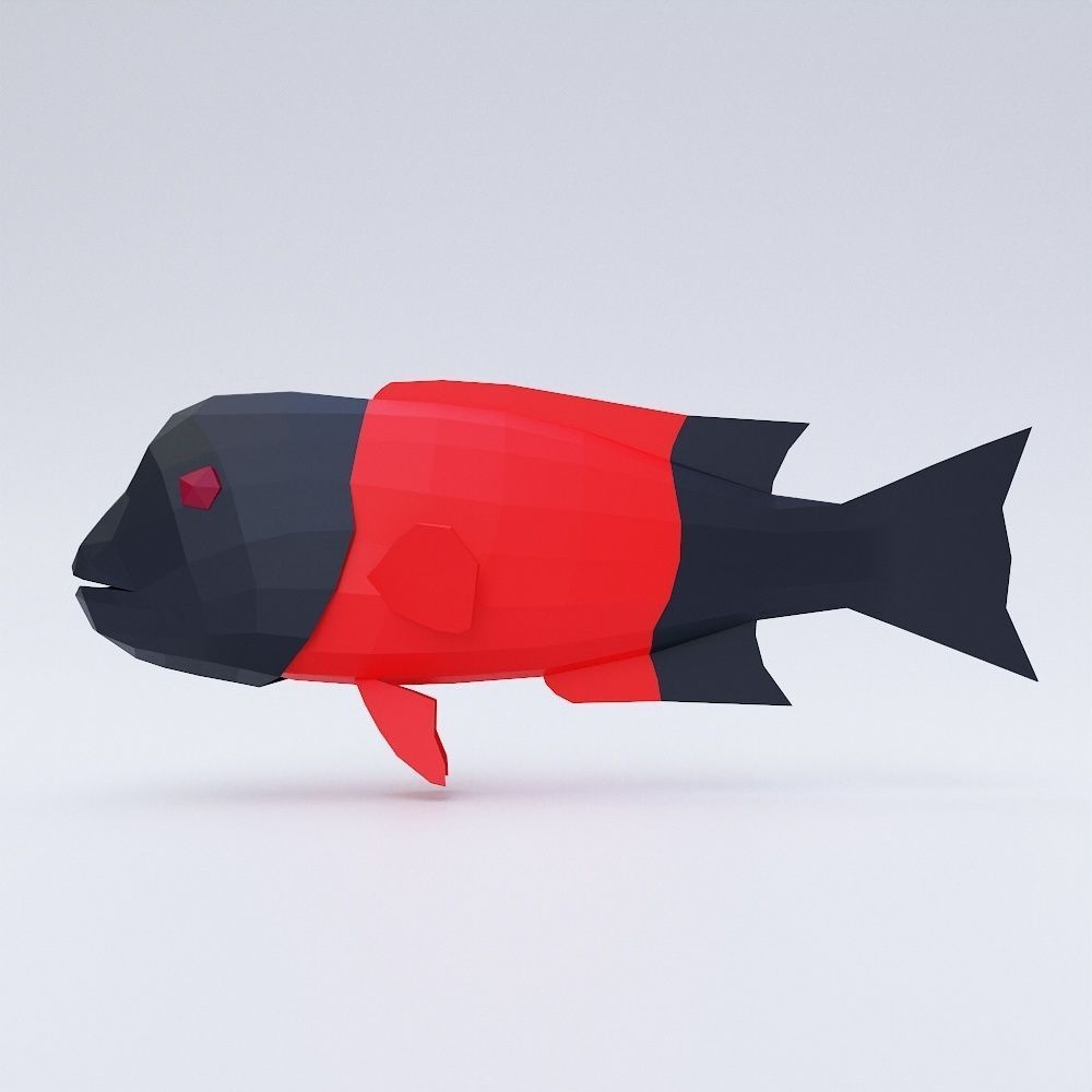 California sheep head fish 3d model  Low-poly 3D model_2