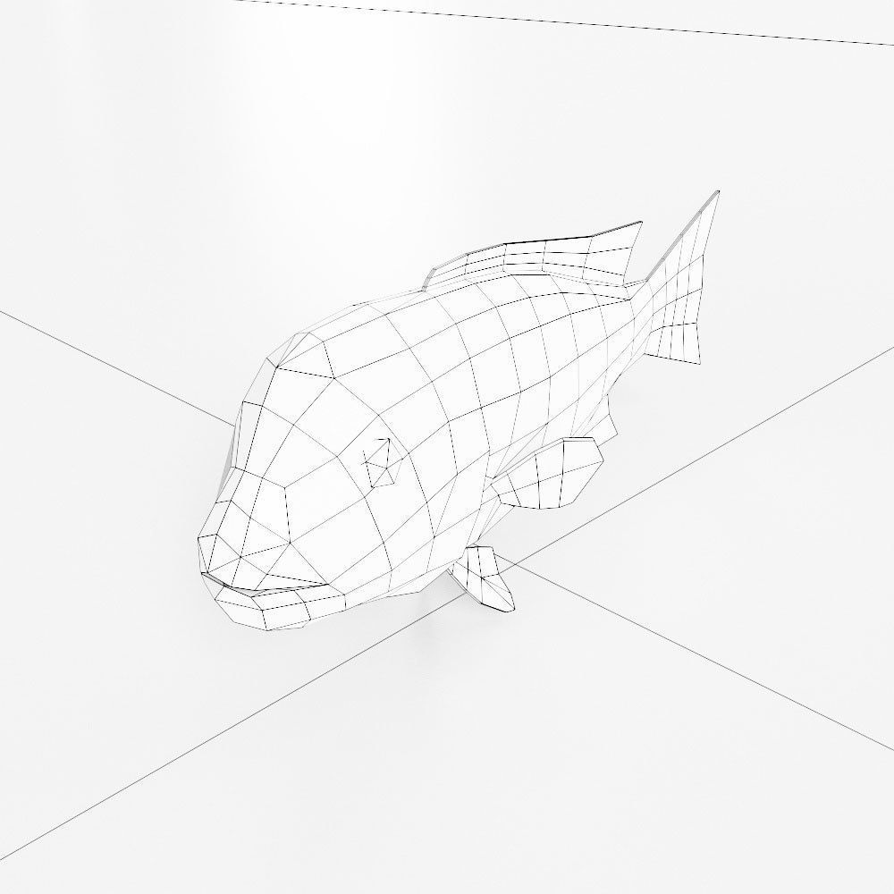 California sheep head fish 3d model  Low-poly 3D model_5