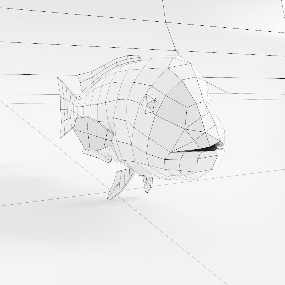 California sheep head fish 3d model  Low-poly 3D model_4