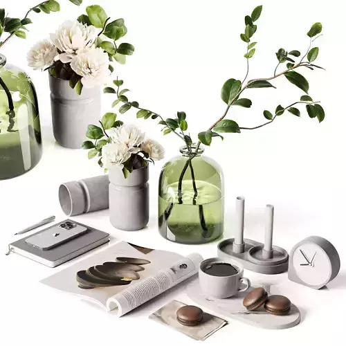 Decorative set vases with flowers and plants