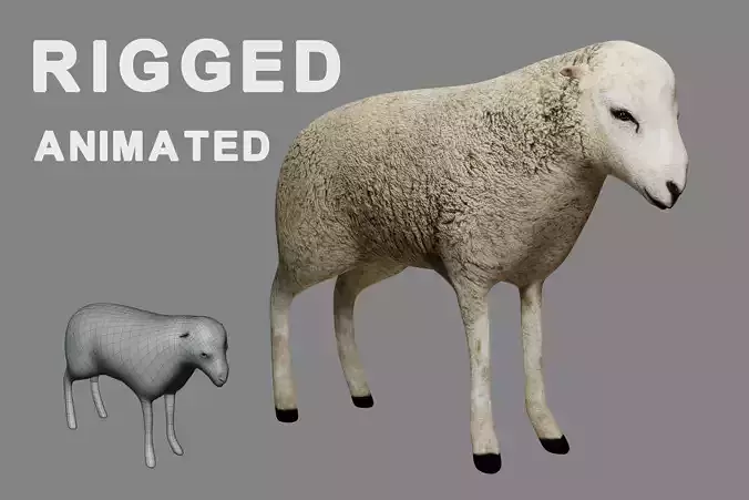 Sheep Rigged 3D model Low-poly 3D model