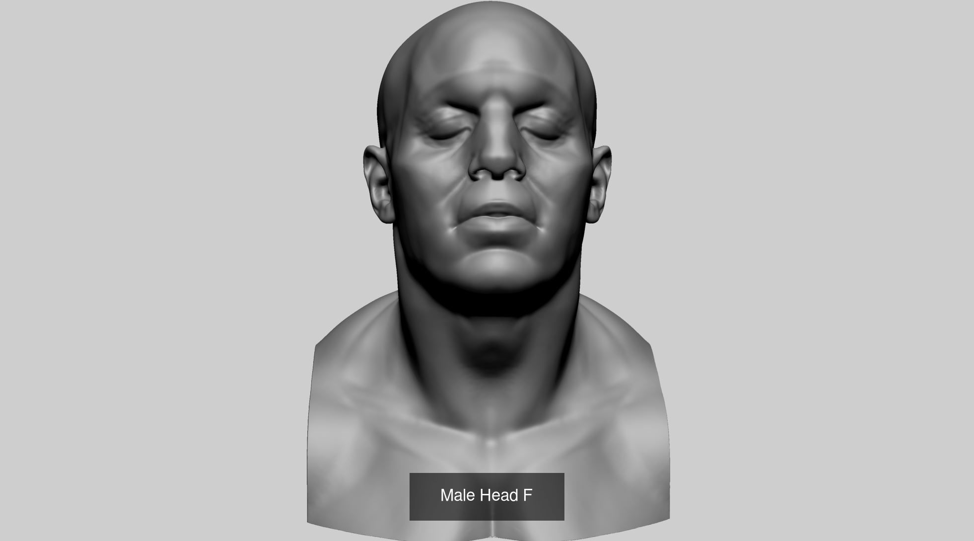 Male Female Head Collection A _13