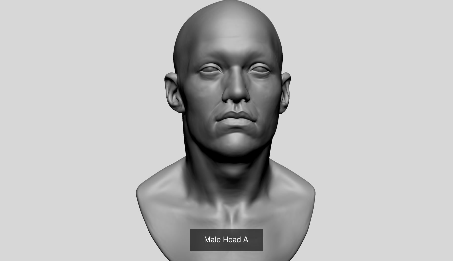 Male Female Head Collection A _3