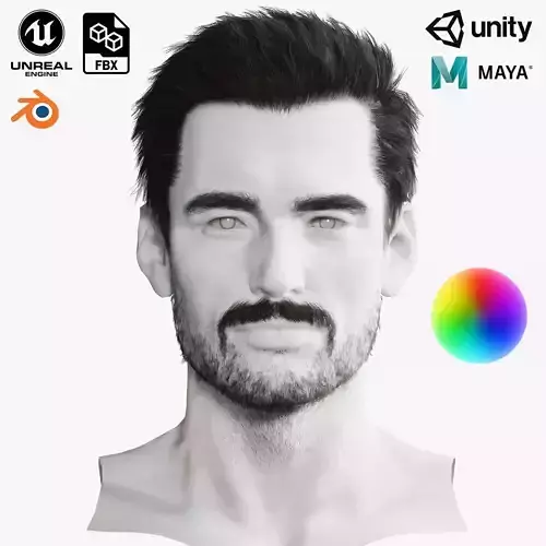 Realistic Hair Beard brows mustache p1 Low-poly 3D model