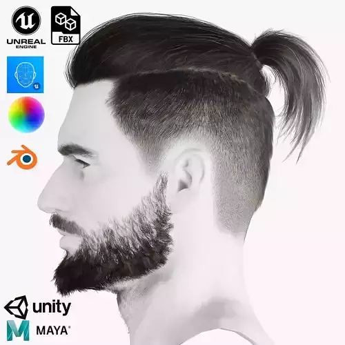 Realistic Hair Beard brows mustache p2 Low-poly 3D model