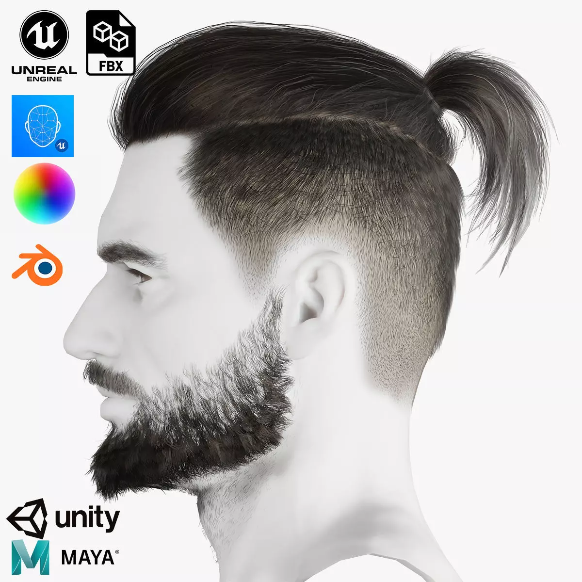 Realistic Hair Beard brows mustache p2 Low-poly 3D model_0