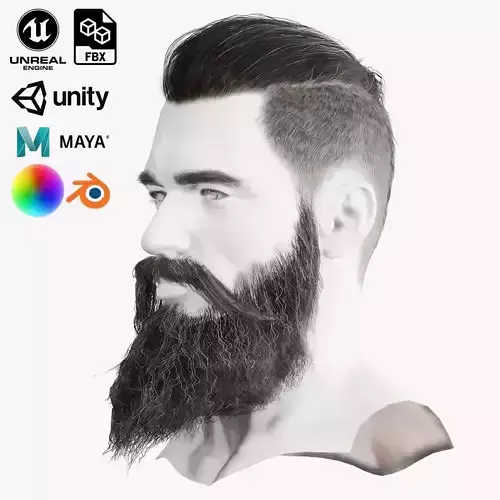 Realistic Hair Beard brows mustache p3 Low-poly 3D model