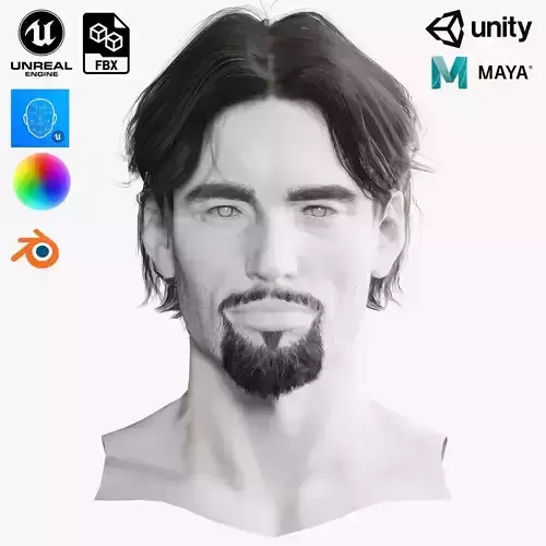 Realistic Hair Beard brows mustache p4 Low-poly 3D model