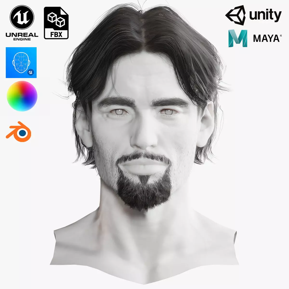 Realistic Hair Beard brows mustache p4 Low-poly 3D model_0