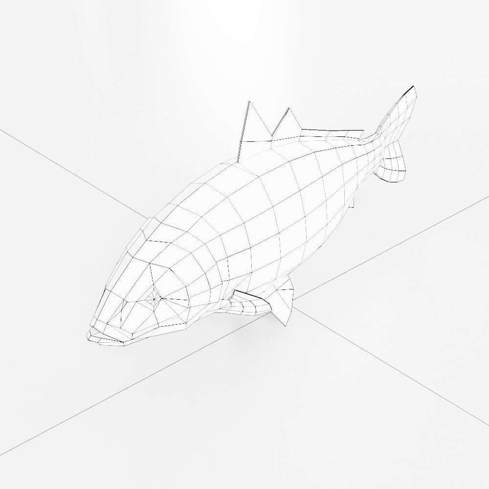 Carp fish 3d model  Low-poly 3D model_3