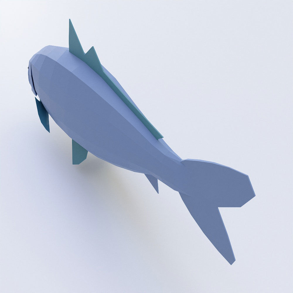 Carp fish 3d model  Low-poly 3D model_2