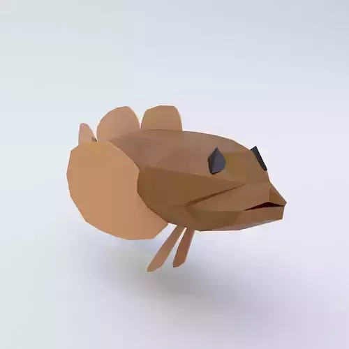 Cottus cognatus fish low poly 3d model  Low-poly 3D model