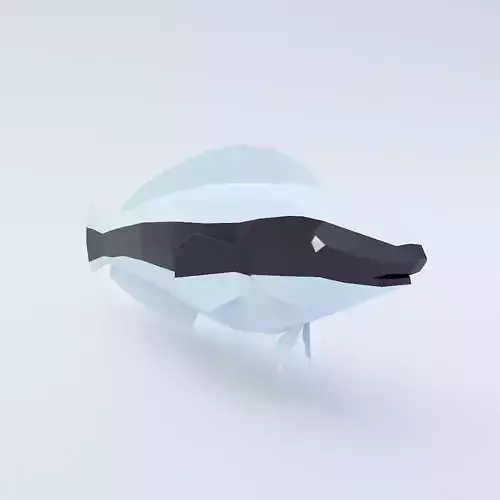 False cleanerfish low poly 3d model 
