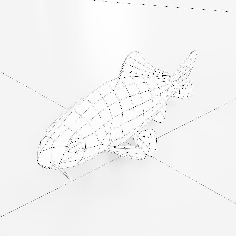 Freshwater common carp fish 3d model  Low-poly 3D model_4
