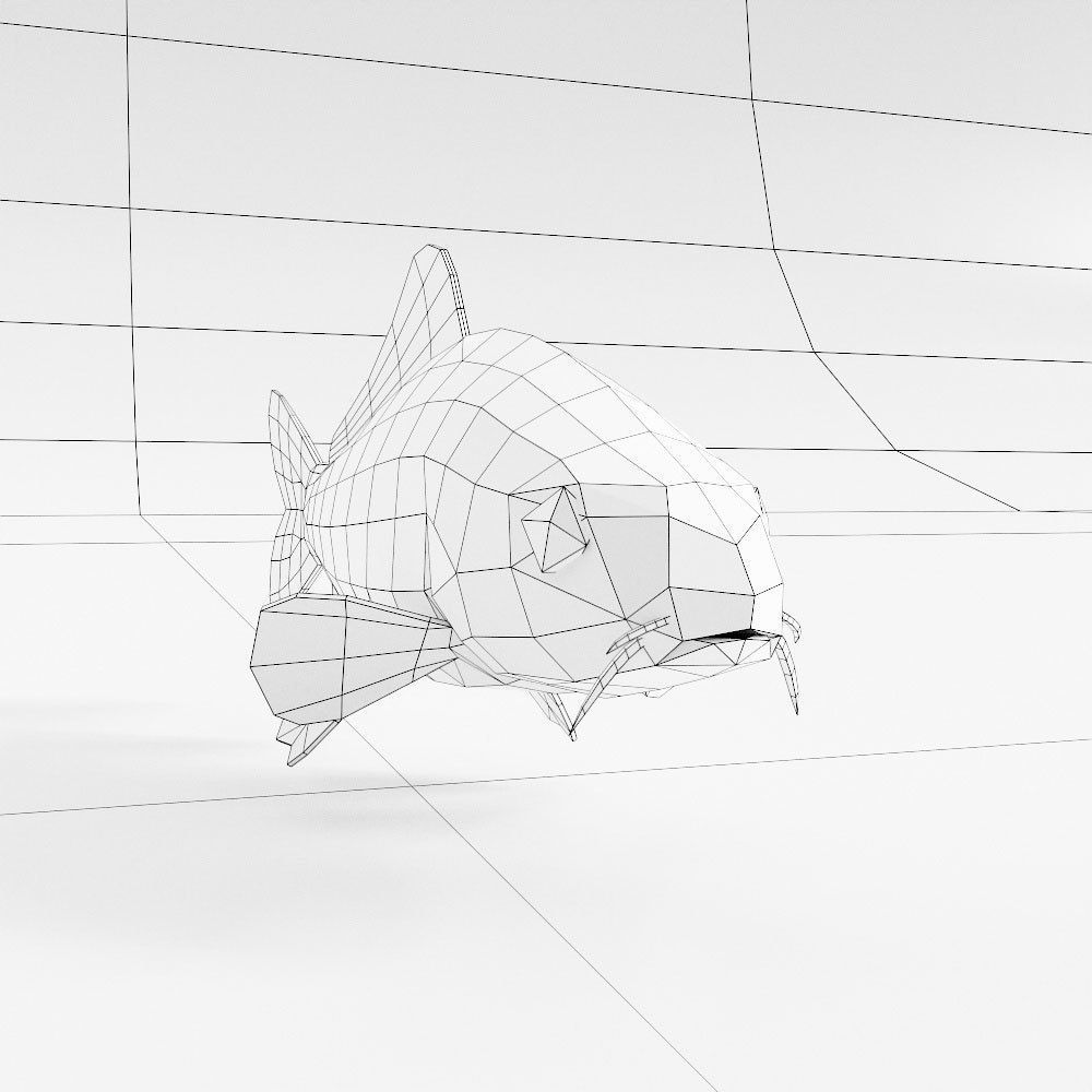 Freshwater common carp fish 3d model  Low-poly 3D model_3