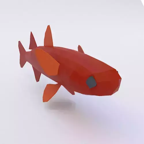 Grass carp fish low poly 3d model 