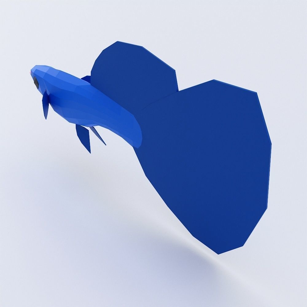 Guppy fish 3d model  Low-poly 3D model_3