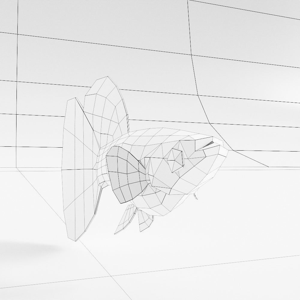  Guppy fish 3d model  Low-poly 3D model_4