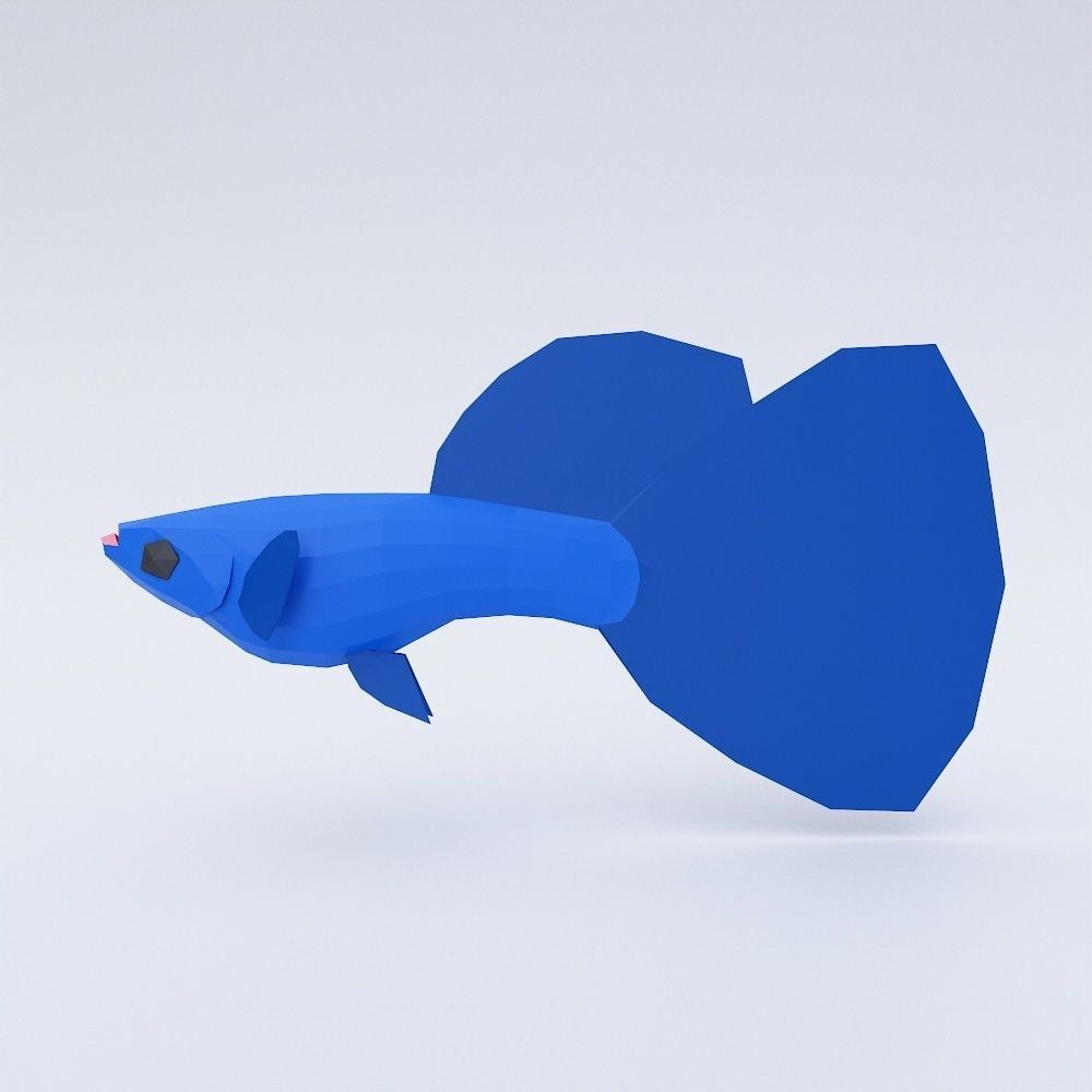  Guppy fish 3d model  Low-poly 3D model_1