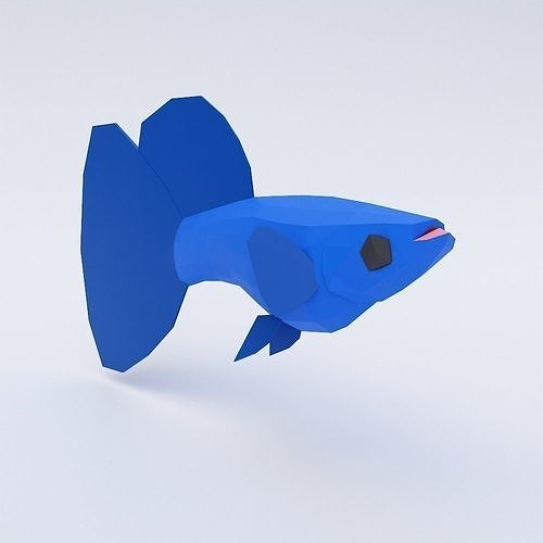  Guppy fish 3d model  Low-poly 3D model