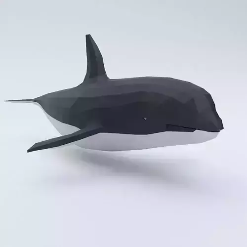 Killer Whale fish low poly 3d model  Low-poly 3D model