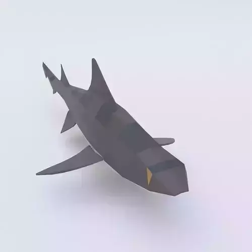 Leopard shark fish low poly 3d model 