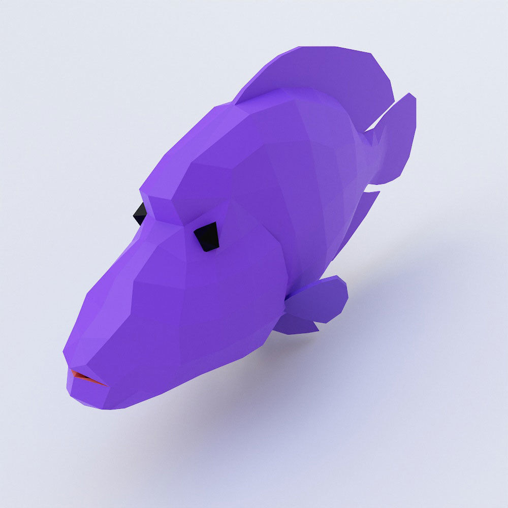 Napoleon fish low poly 3d model Low-poly 3D model_1