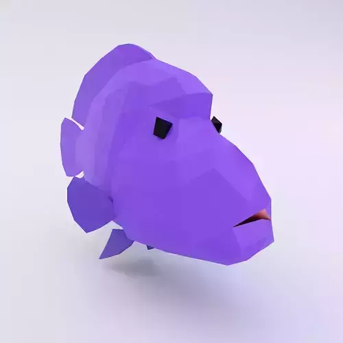 Napoleon fish low poly 3d model  Low-poly 3D model
