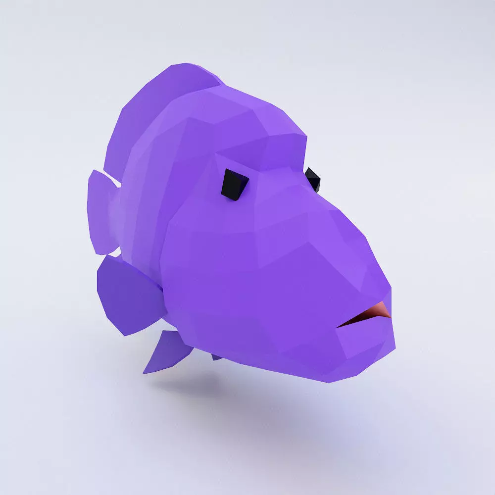 Napoleon fish low poly 3d model Low-poly 3D model_0