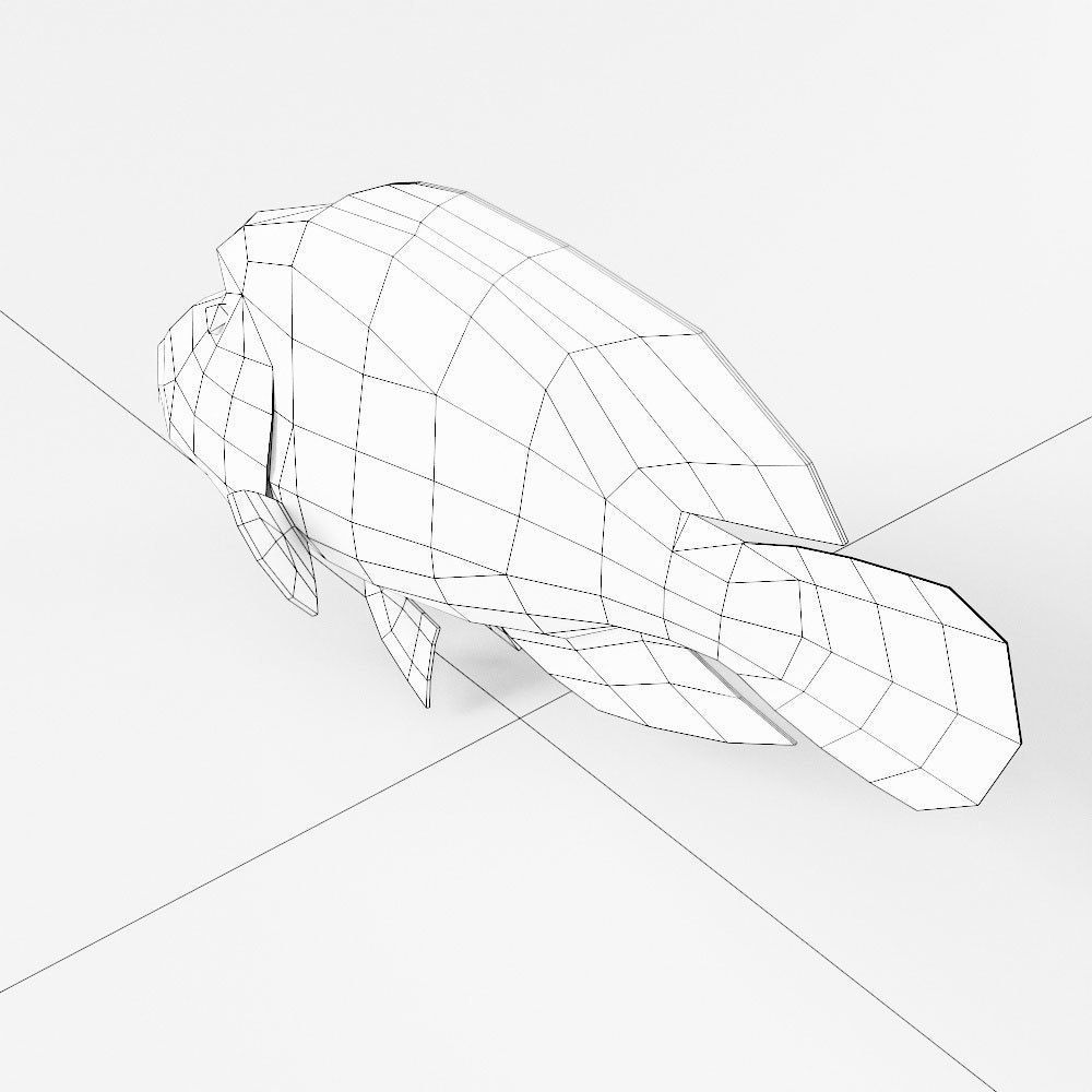 Napoleon fish low poly 3d model Low-poly 3D model_5
