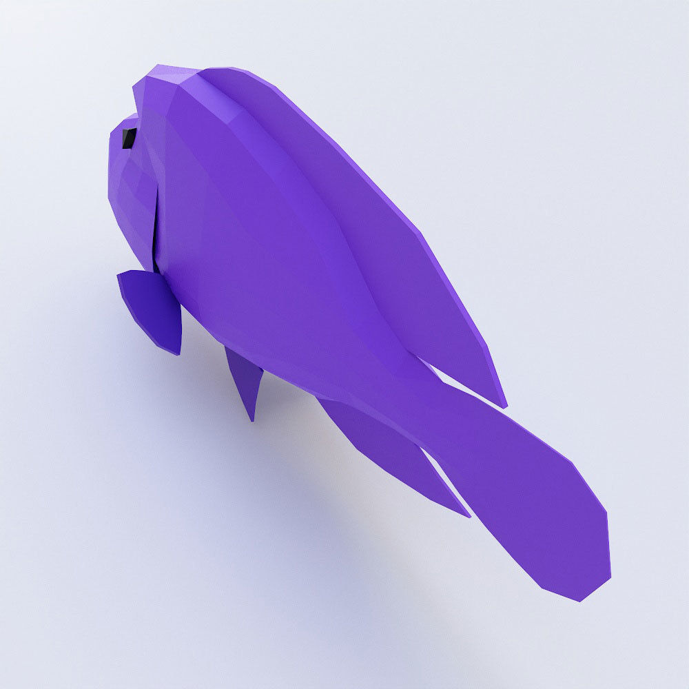Napoleon fish low poly 3d model Low-poly 3D model_2