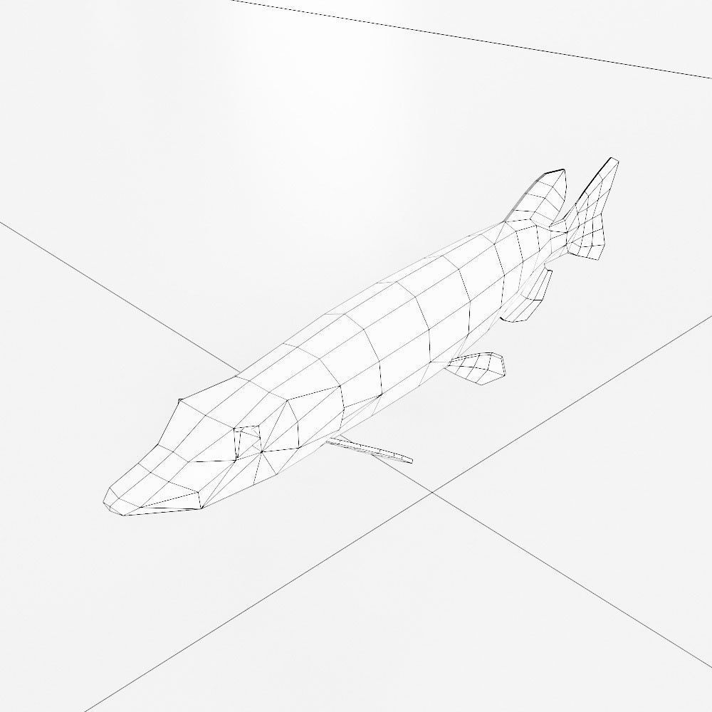 Northern pike fish low poly 3d model  Low-poly 3D model_4