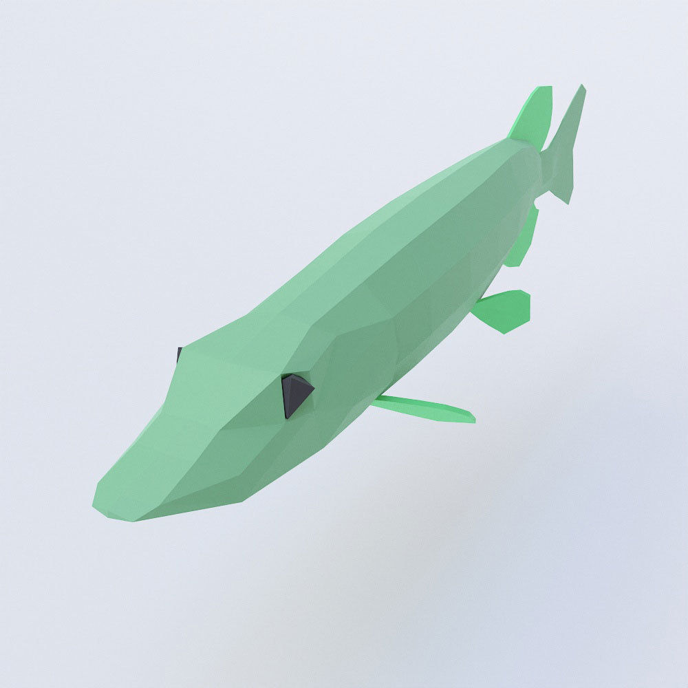 Northern pike fish low poly 3d model  Low-poly 3D model_1