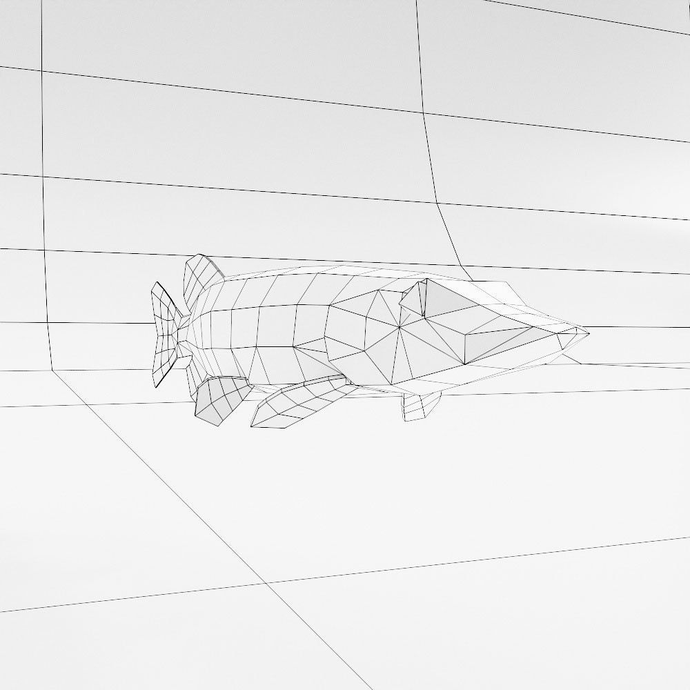 Northern pike fish low poly 3d model  Low-poly 3D model_3