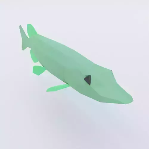 Northern pike fish low poly 3d model  Low-poly 3D model