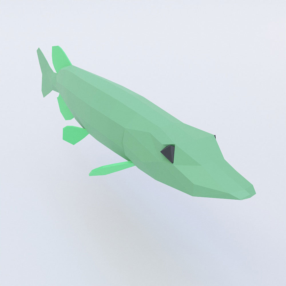 Northern pike fish low poly 3d model  Low-poly 3D model_0