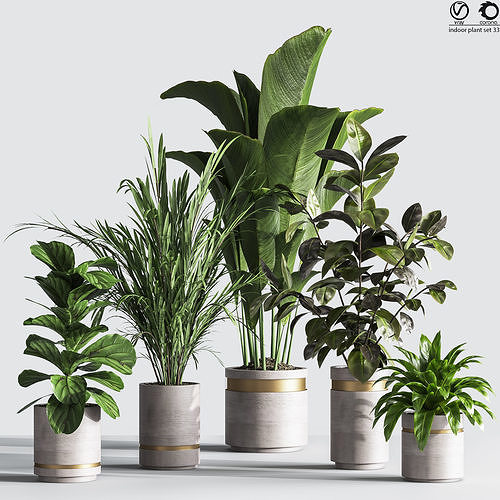 IndoorPlantSet33 group of plants in pots 3D model