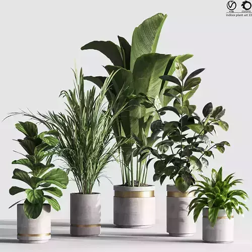 IndoorPlantSet33 group of plants in pots