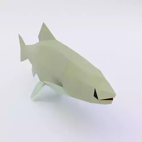 Rainbow trout fish low poly 3d model 