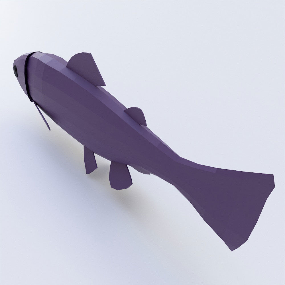 Rainbow trout fish 3d model  Low-poly 3D model_2