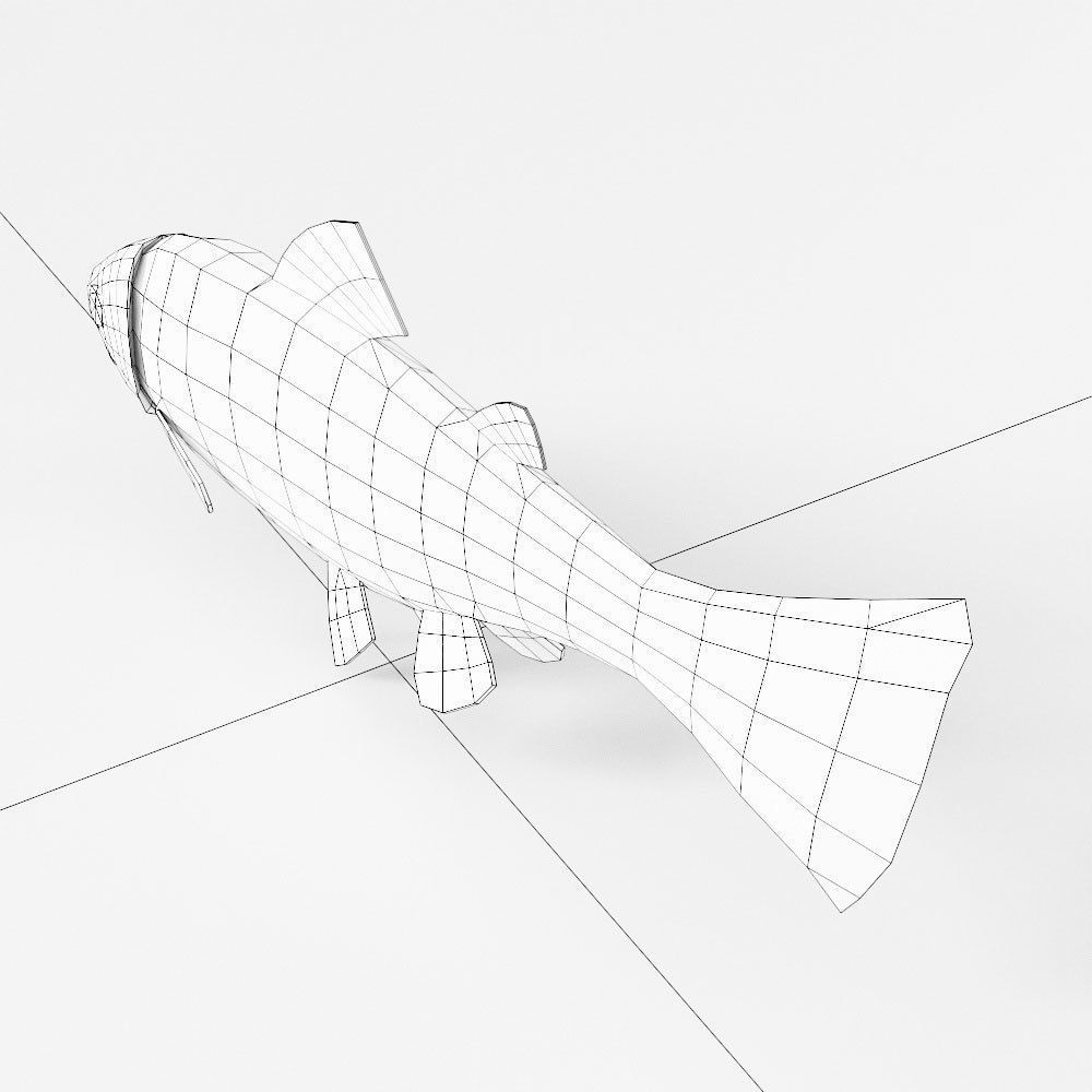 Rainbow trout fish 3d model  Low-poly 3D model_5