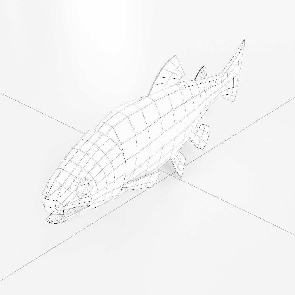Rainbow trout fish 3d model  Low-poly 3D model_4