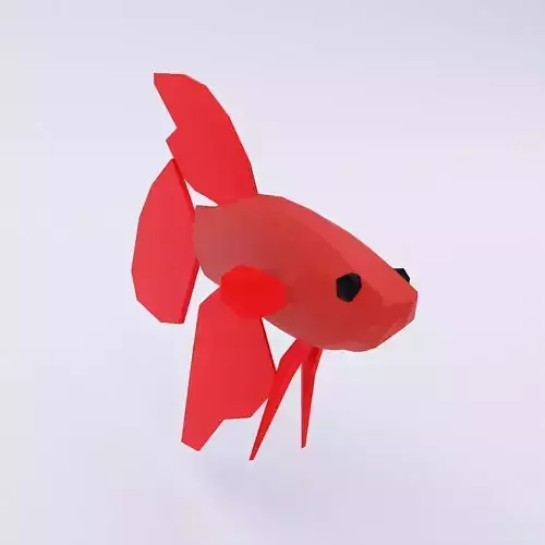 Red betta fish low poly 3d model  Low-poly 3D model